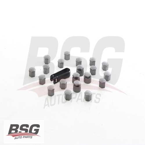 BIJON KAPAGI TAKIM / GRI-SIFRELI BM A1-A3-A4-A5-A6-LEON-FABIA 04- Ürün Görseli