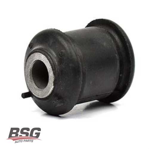 SALINCAK BURCU KÜÇÜK  BM FIESTA 08-