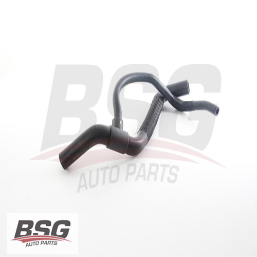 RADYATÖR HORTUMU ALT  1.6 16V LAGUNA II 02-07 Ürün Görseli