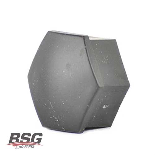 BIJON KAPAGI TAKIM / SIYAH-SIFRESIZ BM A1-A3-A4-A5-A6-LEON-FABIA 04-