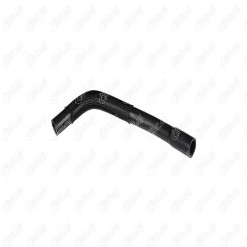 RENAULT R19 RENAULT SU HORTUMU