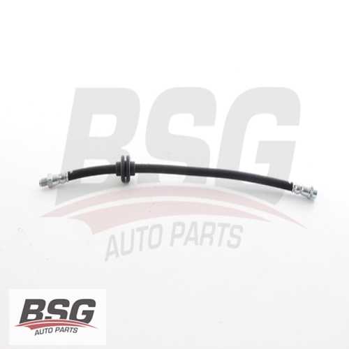 FREN HORTUMU ÖN  BM MEGANE III / SCENIC III 08-