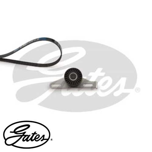 RENAULT CLIO/KANGOO RENAULT V KAYIS SETI