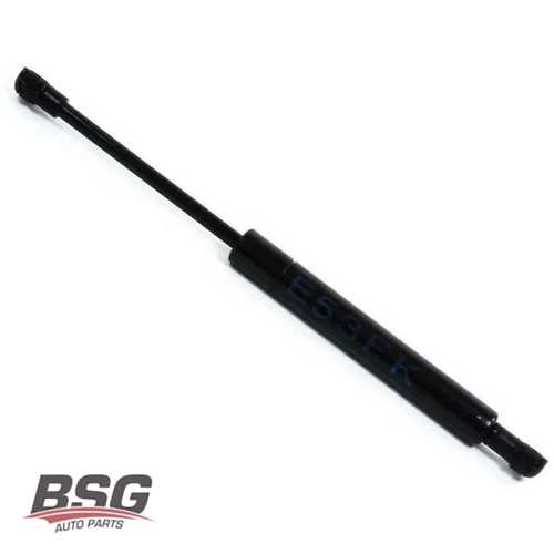 MOTOR KAPUT AMORTISÖRÜ  BM X5 E53 00-06 Ürün Görseli