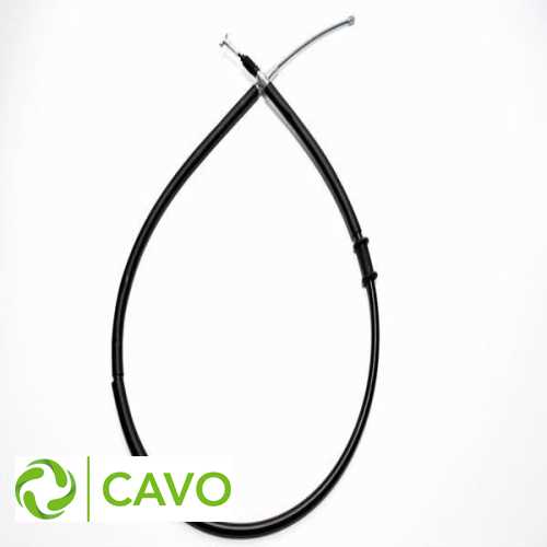 EL FREN TELI SAG  BM PALIO / SIENA 00-