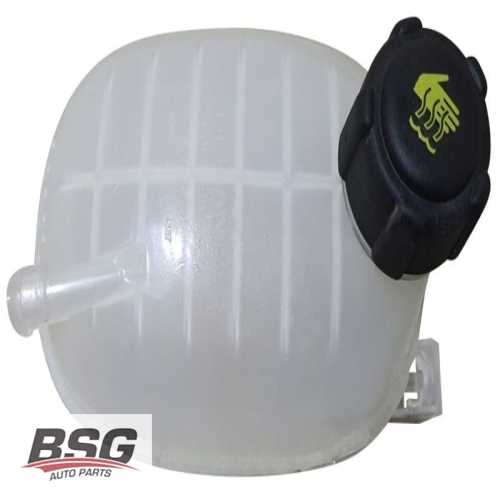 GENLESME DEPOSU RADYATÖR EK DEPOSU KAPAKLI BM CLIO 5 19-