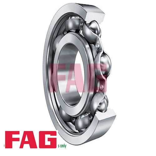 AKS RULMANI ORTA  BM BM 00-