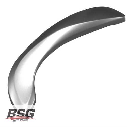 KAPI IÇ TUTAMAK PLASTIGI KROM TAKIM BM FLUENCE 09-