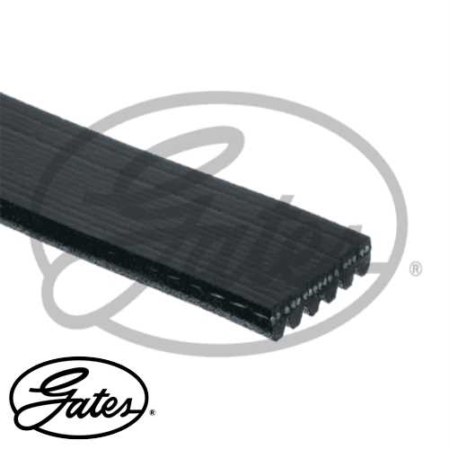 VW TOUAREG-A4-A6 VW V KAYISI BB-6PK2490 / 6PK2488 / 6PK2492 Roadmax