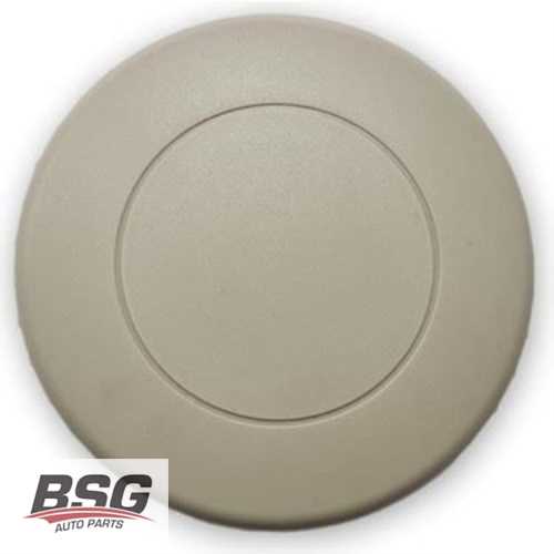 KOLTUK AYAR KOLU BEJ BM A3 04-13