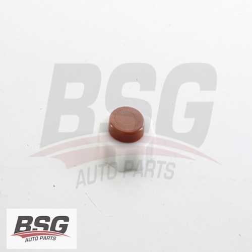 RADYATÖR YEDEK SU DEPO KAPAGI (KAHVE) BM FLASH/EXPRESS/R9/R11/R21 TOROS/KANGOO/LOGAN 91-