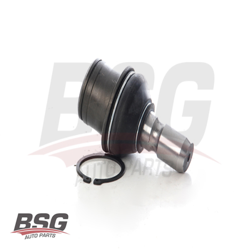 ROTIL  BM X470 2018-