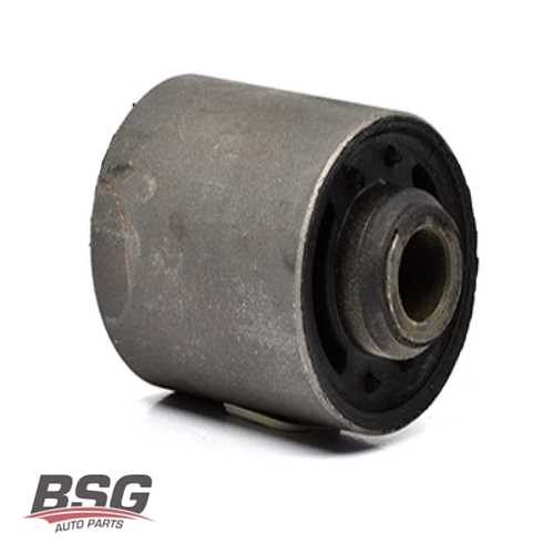 SALINCAK BURCU ARKA UZUN BM TAUNUS 76-