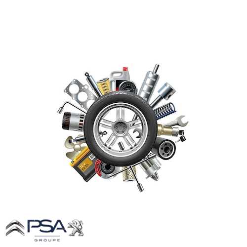 FAR TAMIR KITI SOL B.M BOXER III 06-