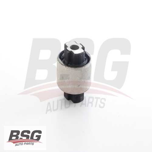 SALINCAK BURCU ARKA DIS  BÜYÜK OLAN BM DUCATO III BOXER III JUMPER III 06-