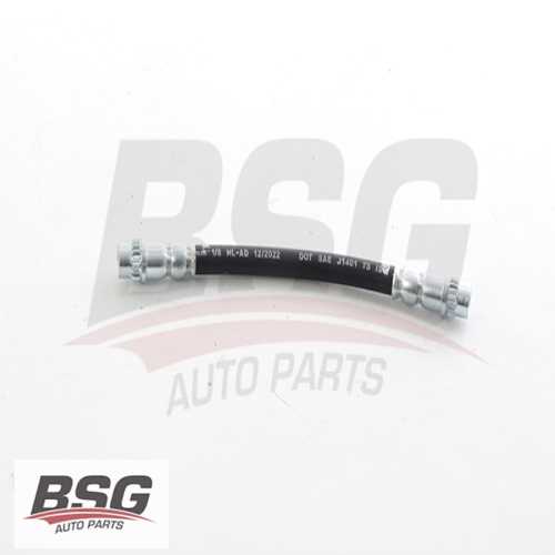 FREN HORTUMU ARKA  BM FLUANCE 10- Ürün Görseli