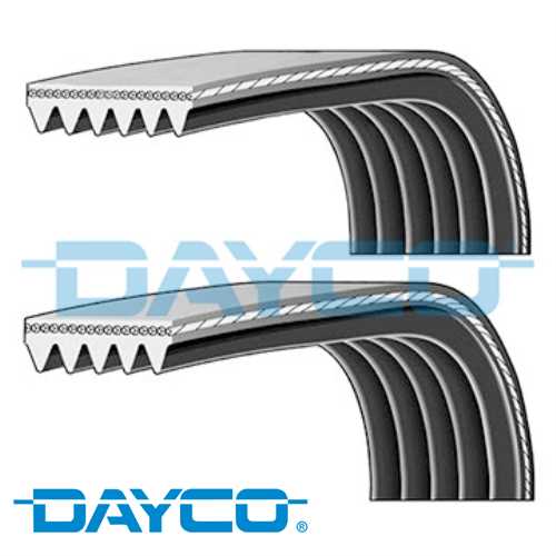 V KAYIS SETI (5PK 690+6PK 1019) 1,4-1,6 BENZ FIESTA/FUSION 02-08