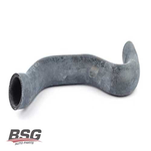 RADYATÖR HORTUMU ALT  1.6 16V (TU5JP4) 307 02-