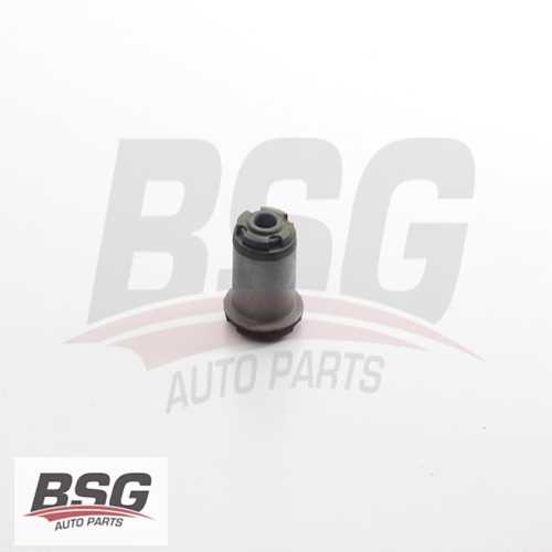 SALINCAK BURCU   407/C5 (X7) 04-