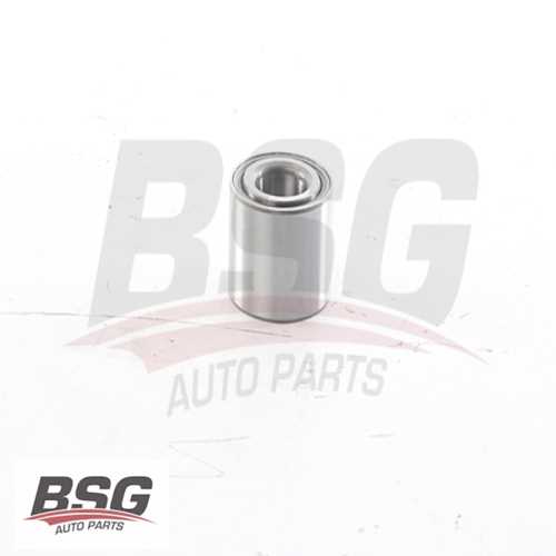 PORYA RULMANI ARKA  BM MASTER III/SCENIC III 09-