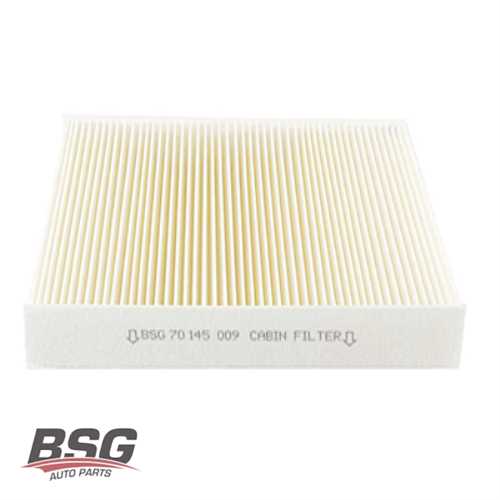 POLEN FILTRESI (KARBONSUZ) B.M 407 / C5 III (X7) 04-