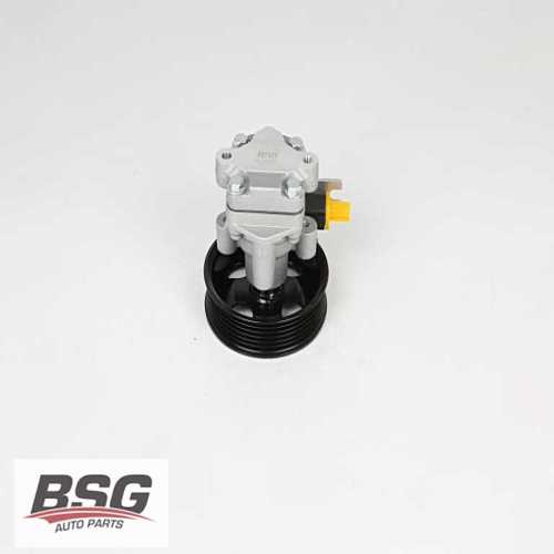 DIREKSIYON POMPASI  2,2 DIZEL SANTAFE 2006-2009 Ürün Görseli