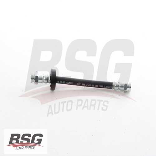 FREN HORTUMU ARKA  BM DOBLO III 09-