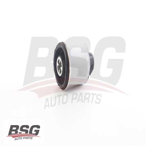 TORSIYON BURCU TORSIYON TAKOZU BM MEGAN II/CLIO II 03-