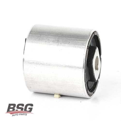 SALINCAK BURCU   E39 96-03