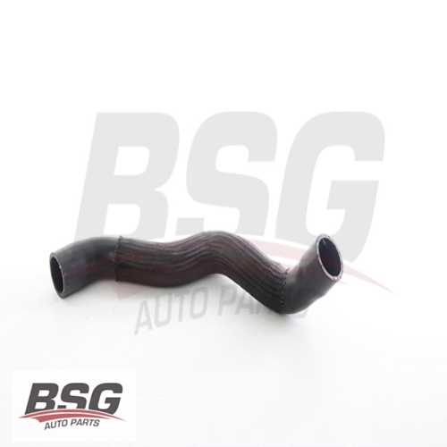 RADYATÖR HORTUMU ALT  M612 W210 95-02