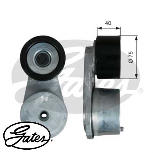 AV AV V KAYIS GERGISI KOMPLE