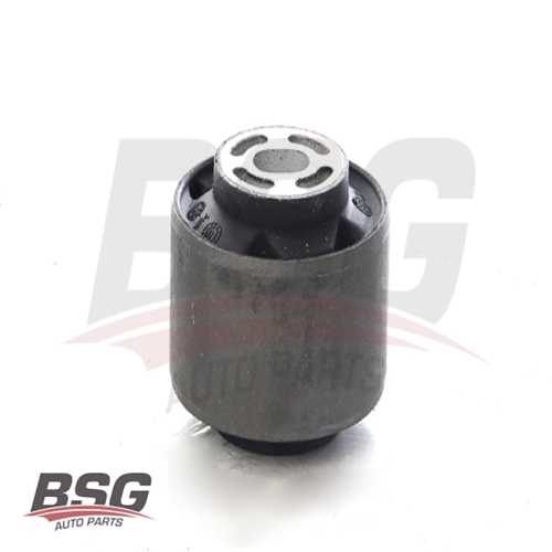 SALINCAK BURCU BÜYÜK(SAG-SOL) BM FIESTA 17-