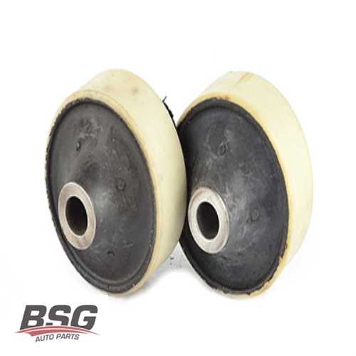 SALINCAK BURCU ARKA  BM CORSA D 07-