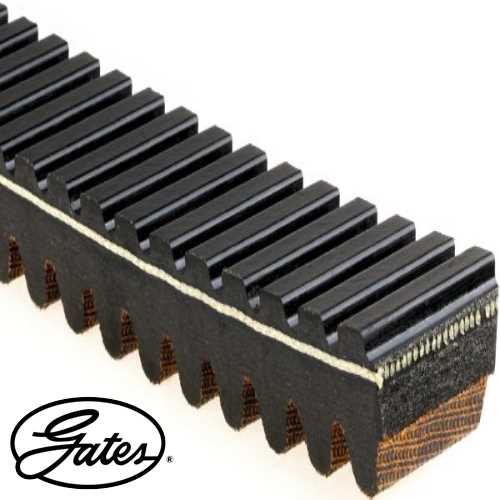 UNI ARCTIC UNI V KAYISI