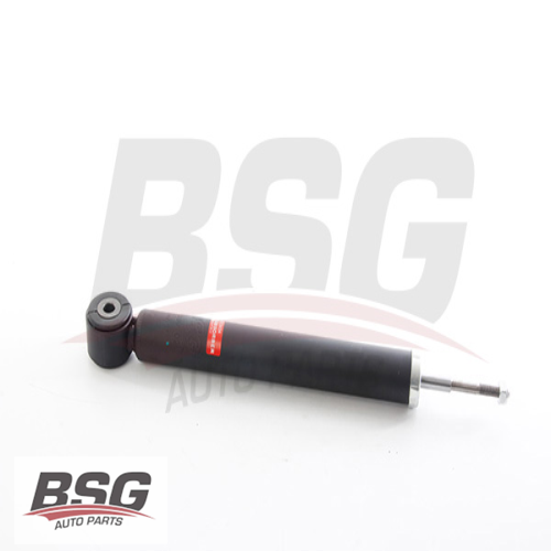 RENAULT CLIO II-THALIA RENAULT AMORTISÖR ARKA SAG / SOL YAGLI ARKA Ürün Görseli