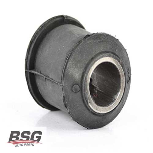 SALINCAK BURCU  BM REKORD 78-86 Ürün Görseli