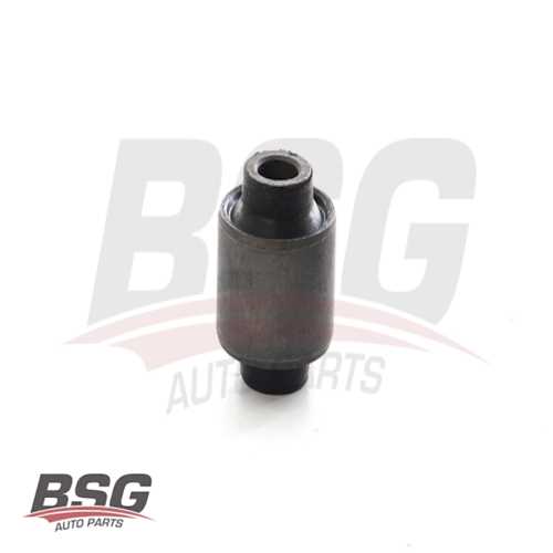 TASIYICI BURÇ ARKA 44,6*12,2*35,4 BENZIN-DIZEL SONATA/GRANDEUR 06-/CEED/MAGENTIS/CARENS 1998- Ürün Görseli