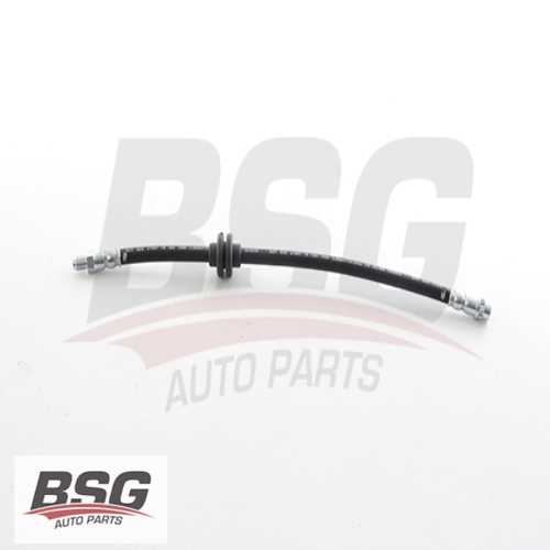 FREN HORTUMU ÖN  BM MASTER III 10-