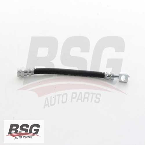 FREN HORTUMU ARKA  BM TIGUAN-Q3 08-