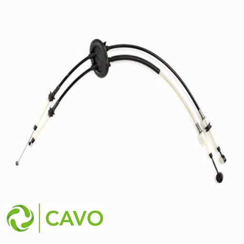 VITES TELI MA SANZUMAN B.M 307 02-