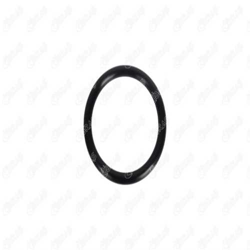 RENAULT DUSTER LOGAN CLIO KANGO MEGAN RENAULT BOGAZ KELEBEK CONTASI