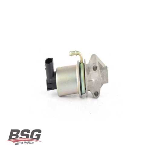 EGR VALFI 7.22574.12.0 BFQ-BGU 1,6 GOLF4-BORA-GOLF5-JETTA-A3 01-10