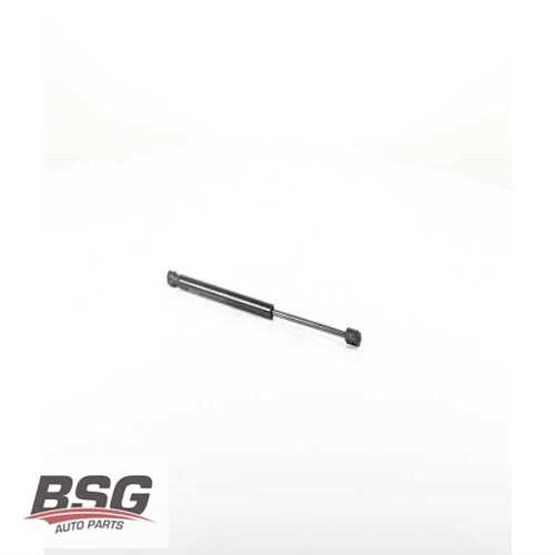 BAGAJ AMORTISÖRÜ  BM CLIO II (B/C/CB/SB0_) 98-