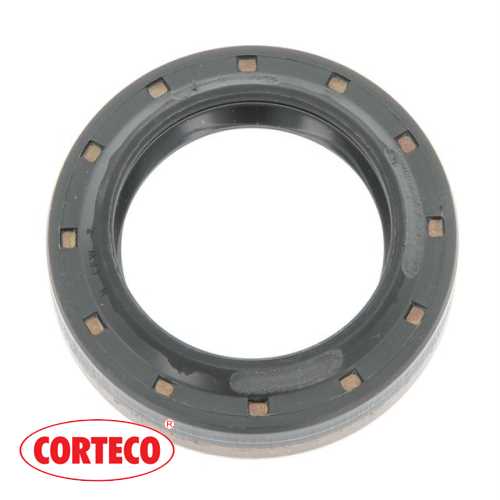 SANZUMAN KEÇESI  2.5 ST FOCUS/S40 03-