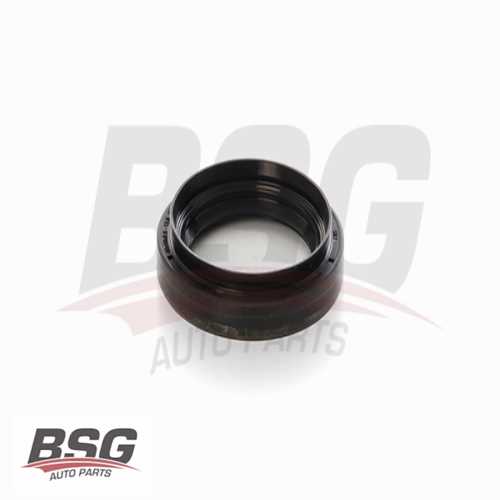 SANZUMAN KEÇESI KUYRUK BM TRANSIT V184 01-