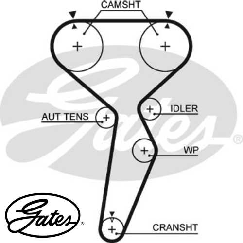 JAPON CARISMA (DA) JAPON TRIGER KAYISI . Ürün Görseli