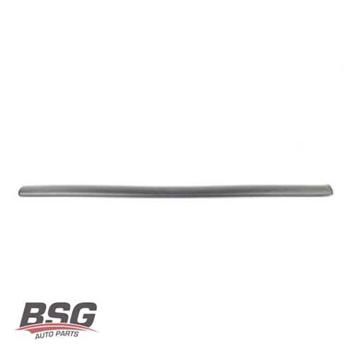 KAPI BANDI ÖN SAG  BM CADDY 04-10