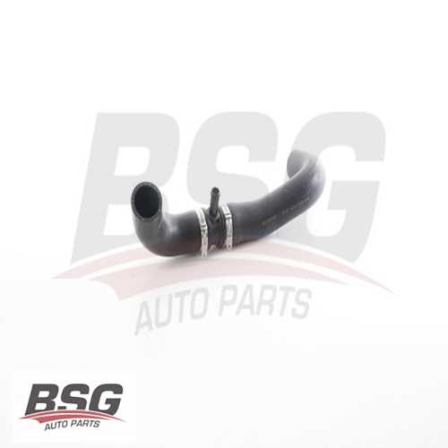 RADYATÖR HORTUMU ALT . 1.6 JUKE (F15) 10-19