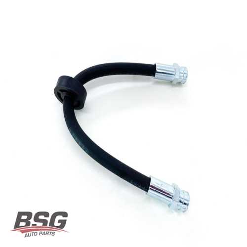 FREN HORTUMU ARKA  BM PALIO WEEKEND 96-