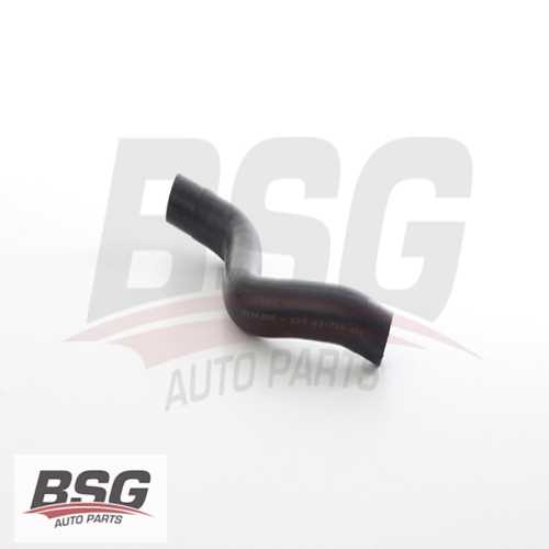 RADYATÖR HORTUMU ÜST . 1.5:1.8 ALMERA (N16) : PRIMERA (P12) 1.6 02-07 00-06